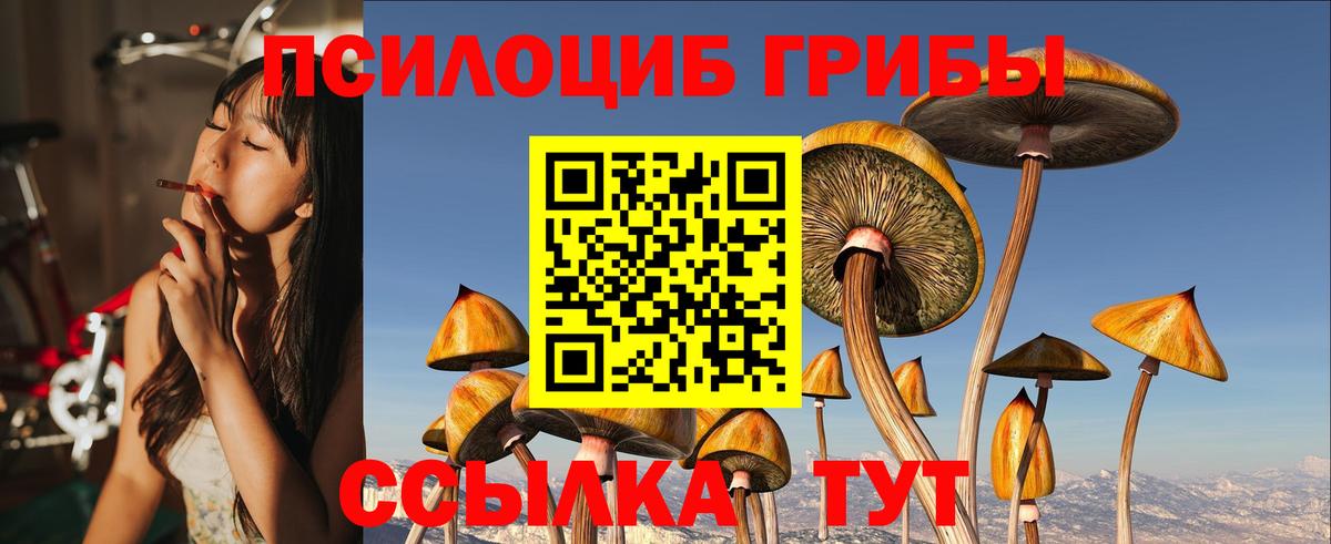 Псилоцибиновые грибы Psilocybine cubensis  Псилоцибиновые грибы GOLDEN TEACHER  Вход с VPN  Бузулук 